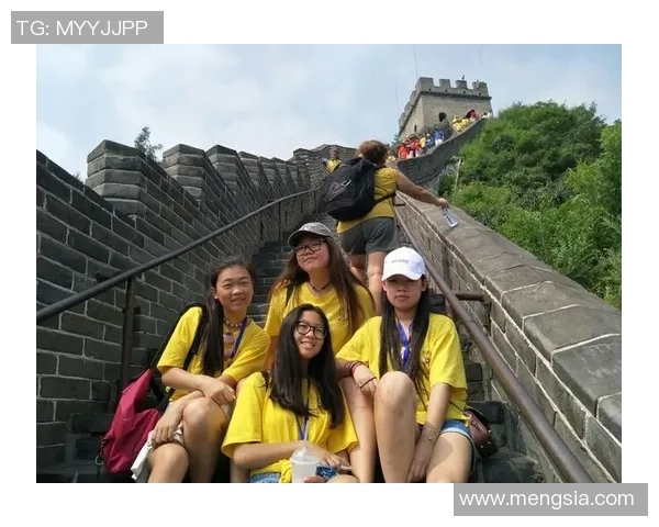 足球小飞象的奇幻冒险之旅带你领略梦想与友谊的力量 足球小飞象的奇幻冒险之旅带你领略梦想与友谊的力量