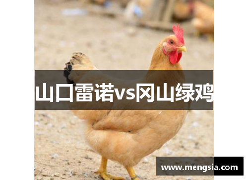 山口雷诺vs冈山绿鸡