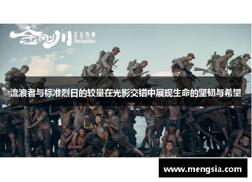 流浪者与标准烈日的较量在光影交错中展现生命的坚韧与希望